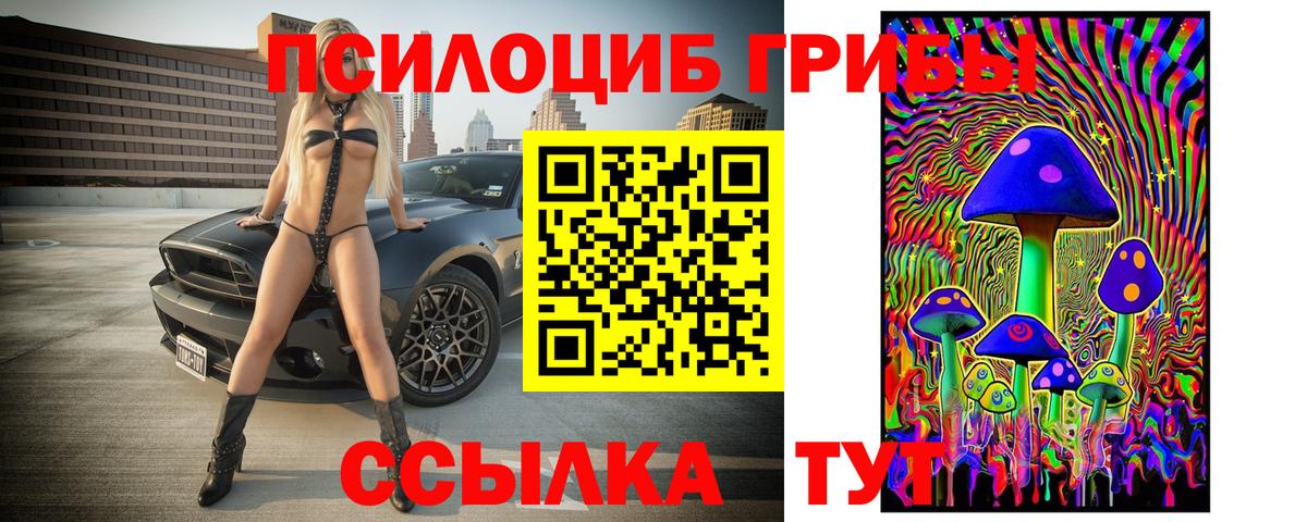 Псилоцибиновые грибы мицелий Мончегорск
