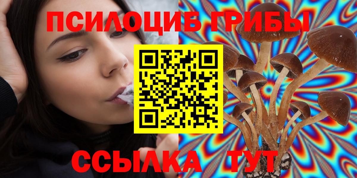 Мончегорск  Псилоцибиновые грибы мицелий  Вход с VPN  Псилоцибиновые грибы Psilocybine cubensis 